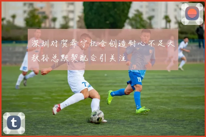 深圳对贺希宁机会创造耐心不足大秋孙总默契配合引关注