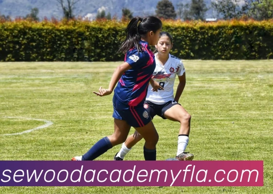 米兰app官网登录APP 封面图